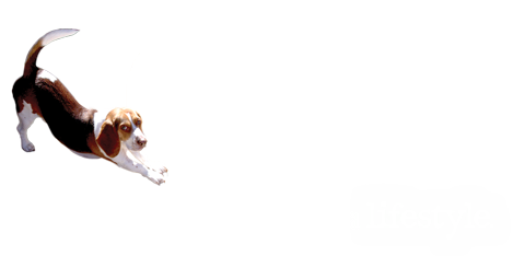 gtr-incorporated-logo