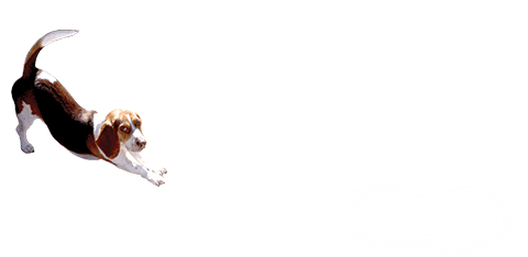 GTR Incorporated